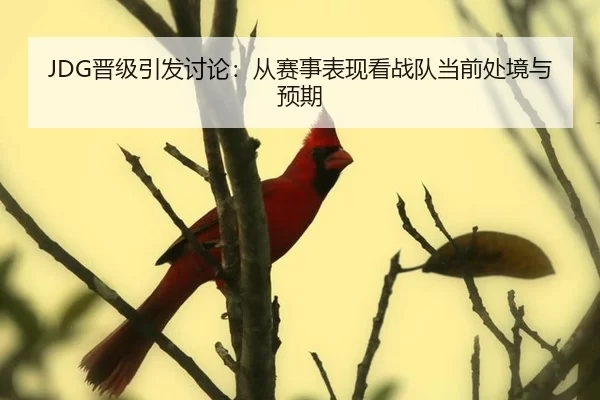 JDG晋级引发讨论：从赛事表现看战队当前处境与预期（ayx）